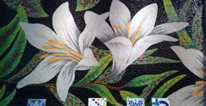 Faïences sur mur Grenoble 